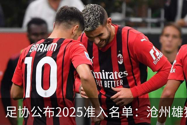 足协公布2025准入名单：沧州雄狮、广州队无缘